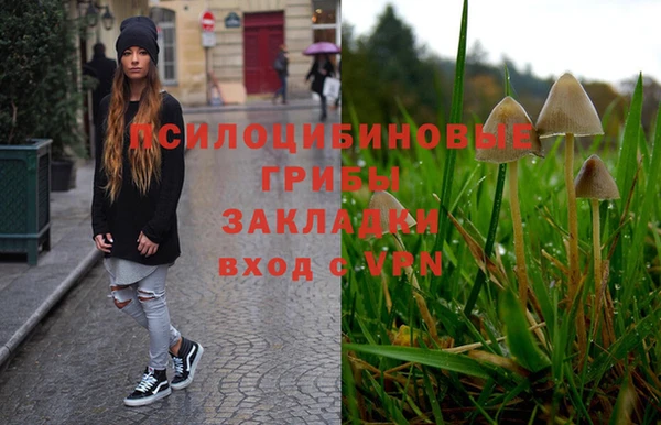 ECSTASY Алзамай