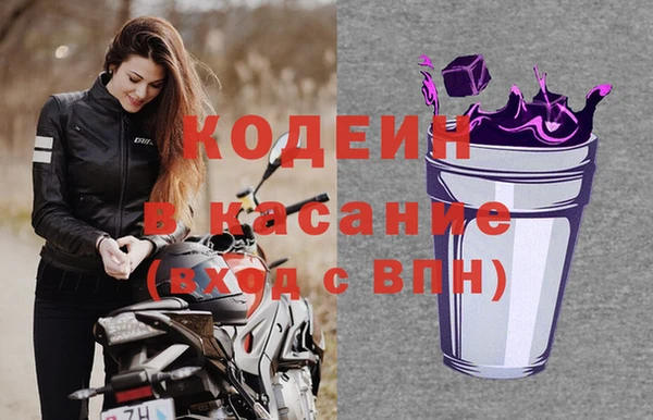 ECSTASY Алзамай