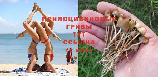 ECSTASY Алзамай